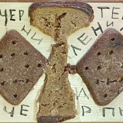 Хлебный мотылек для Велимира Хлебникова